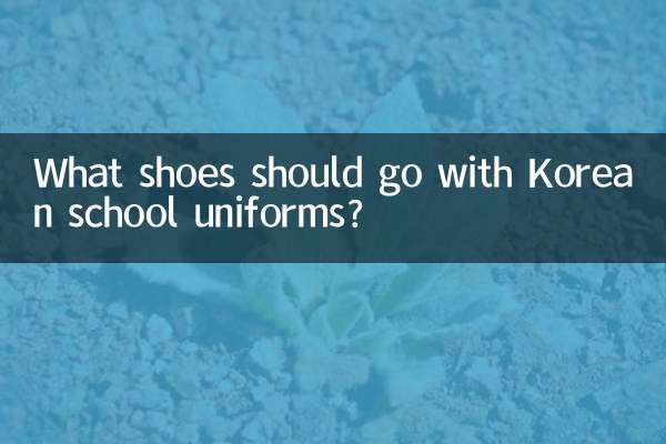¿Qué zapatos deberían combinar con los uniformes escolares coreanos?