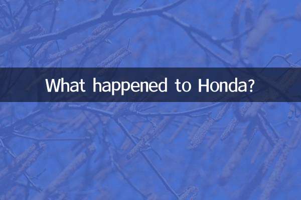 হোন্ডার কি হয়েছে?