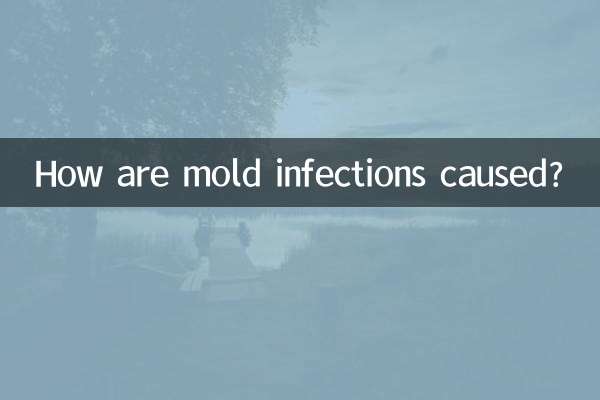 Come si causano le infezioni da muffe?