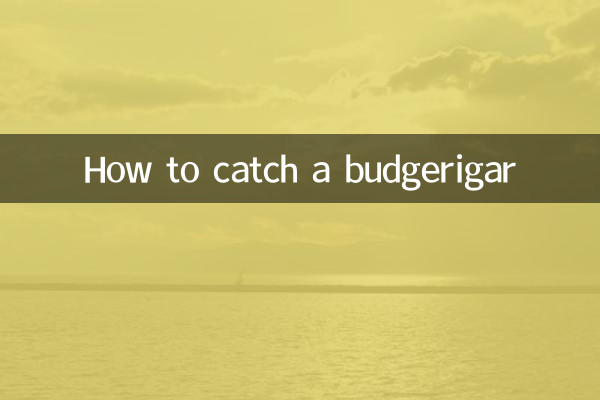 How to catch a budgerigar