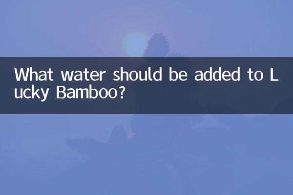 Quelle eau faut-il ajouter à Lucky Bamboo ?