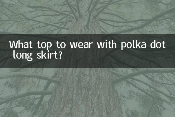 波點長裙配什麼上衣