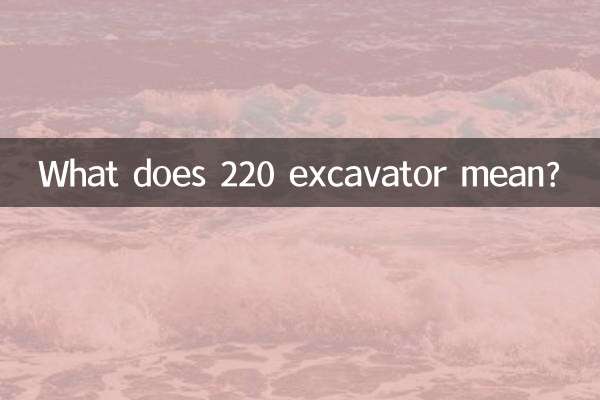 Cosa significa escavatore 220?