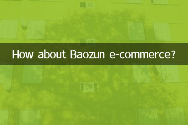 ماذا عن التجارة الإلكترونية في Baozun؟
