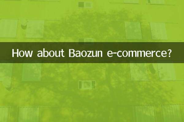 تجارت الکترونیک Baozun چطور؟