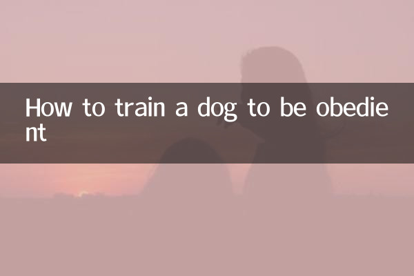 Wie man einem Hund Gehorsam beibringt