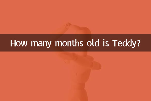 Сколько месяцев Тедди?