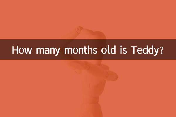 Сколько месяцев Тедди?