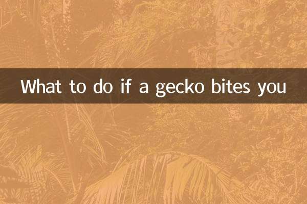 अगर आपको छिपकली काट ले तो क्या करें?