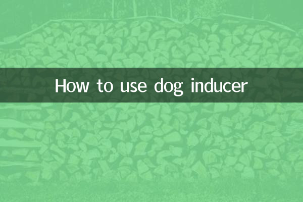 Come usare l'induttore per cani