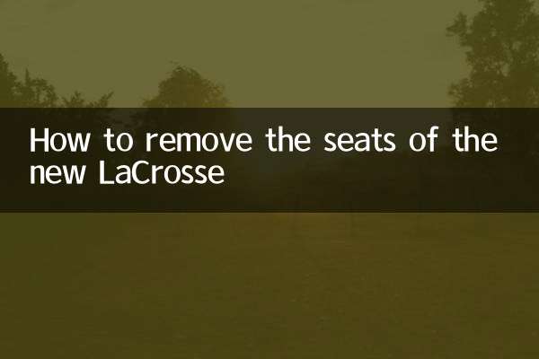 신형 라크로스의 시트 제거 방법