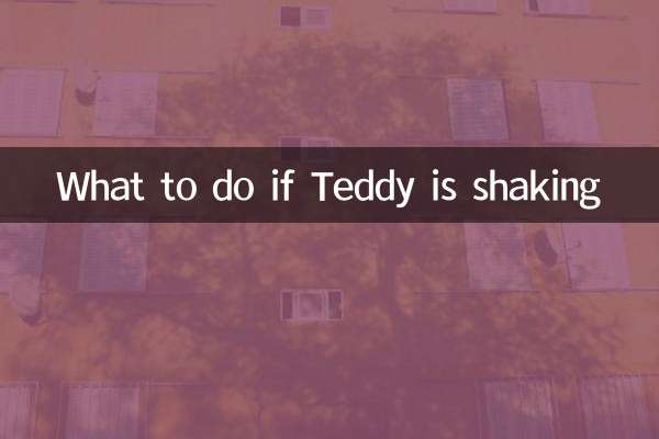 테디가 흔들리면 어떻게 해야 할까요?