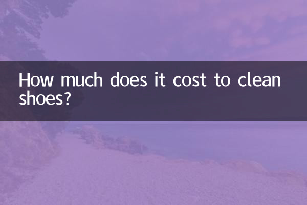 هزینه تمیز کردن کفش چقدر است؟