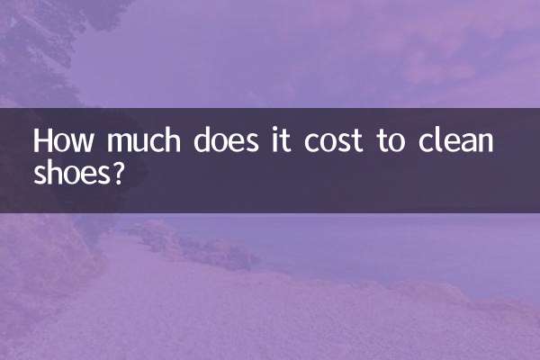 هزینه تمیز کردن کفش چقدر است؟
