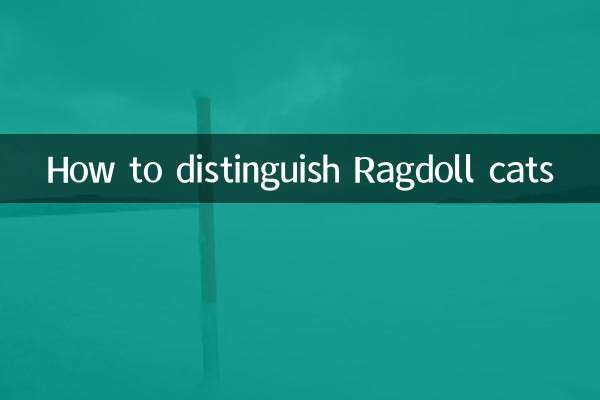 چگونه گربه های راگدول را تشخیص دهیم