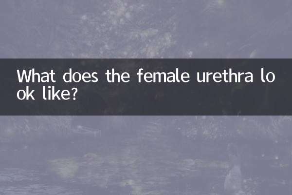 महिला मूत्रमार्ग कैसा दिखता है?