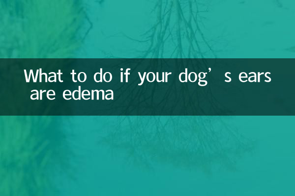 আপনার কুকুরের কানে শোথ হলে কী করবেন