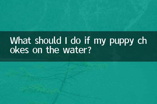 Cosa devo fare se il mio cucciolo soffoca in acqua?