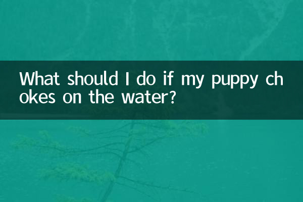 Cosa devo fare se il mio cucciolo soffoca in acqua?