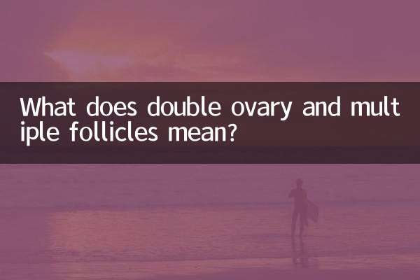 이중 난소 및 다중 난포는 무엇을 의미합니까?