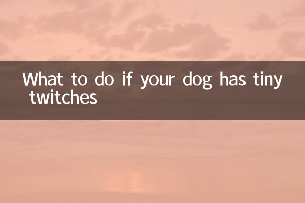 ماذا تفعل إذا كان كلبك يعاني من تشنجات صغيرة؟