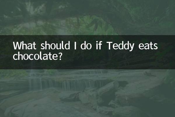 ¿Qué debo hacer si Teddy come chocolate?