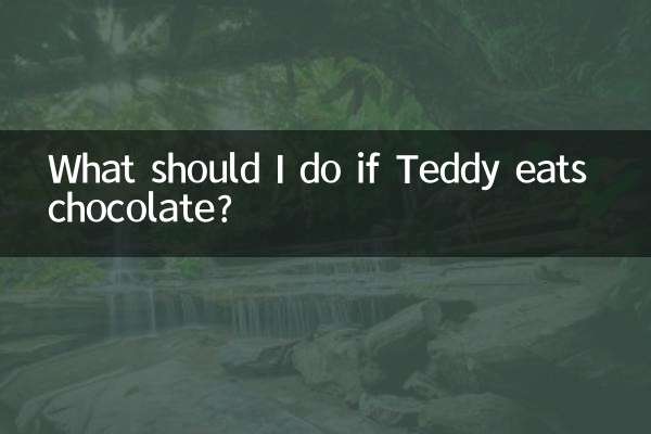 ¿Qué debo hacer si Teddy come chocolate?