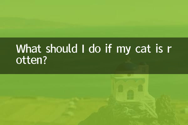 আমার বিড়াল পচা হলে আমার কি করা উচিত?