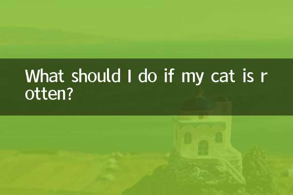 আমার বিড়াল পচা হলে আমার কি করা উচিত?