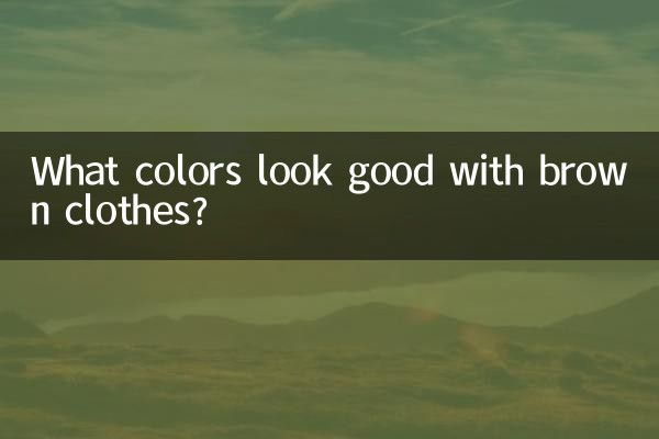 茶色の服に似合う色は何色でしょうか？