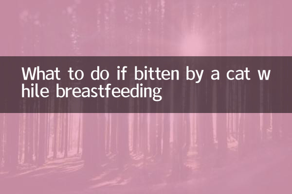 Que faire en cas de morsure par un chat pendant l'allaitement