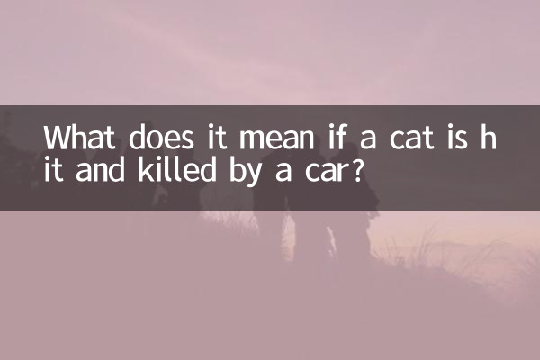What does it mean if a cat is hit and killed by a car?