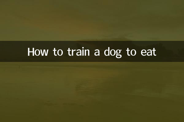 怎么训练狗吃饭