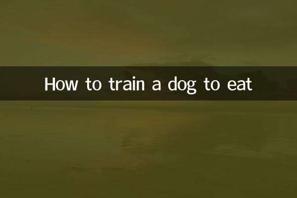 怎么训练狗吃饭