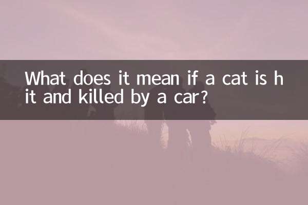 ¿Qué significa si un coche atropella y mata a un gato?