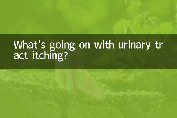 मूत्र पथ की खुजली के साथ क्या हो रहा है?
