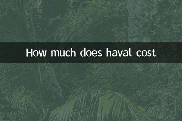 Wie viel kostet Haval?