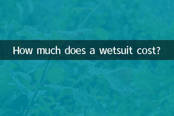 ویٹس سوٹ کی قیمت کتنی ہے؟