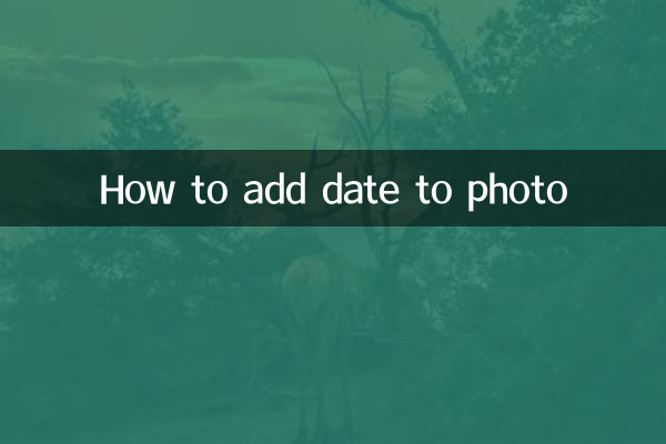 تصویر میں تاریخ شامل کرنے کا طریقہ