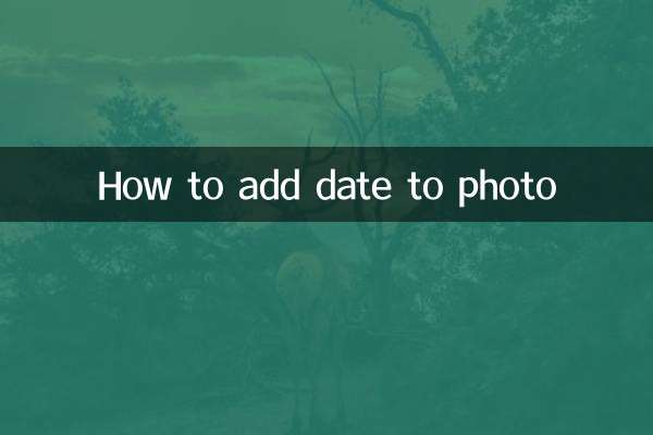 نحوه اضافه کردن تاریخ به عکس