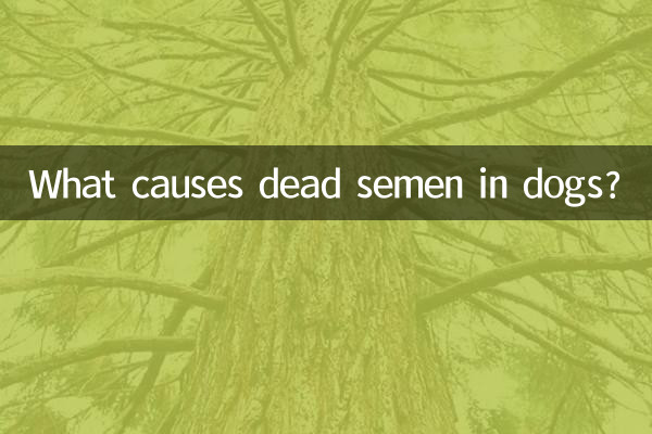 O que causa a morte do sêmen em cães?