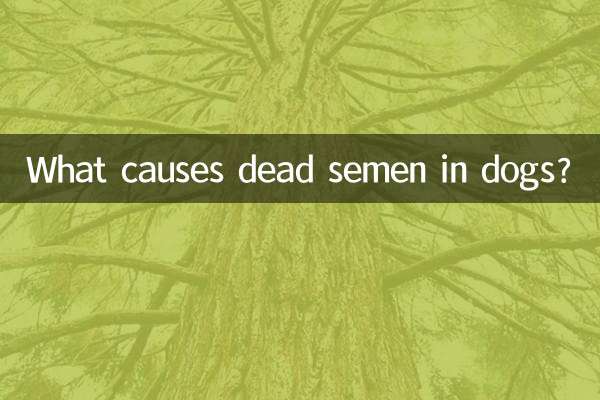 O que causa a morte do sêmen em cães?