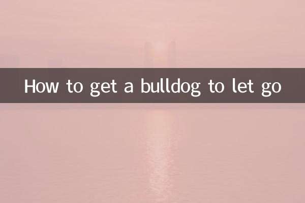 چگونه یک بولداگ را رها کنیم