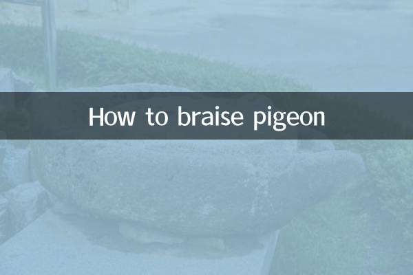 Wie man Tauben schmort