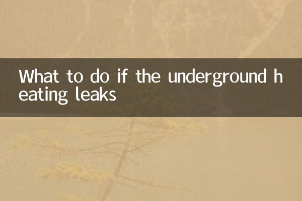 Qué hacer si la calefacción subterránea tiene fugas
