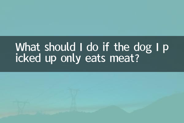 O que devo fazer se o cachorro que peguei só comer carne?