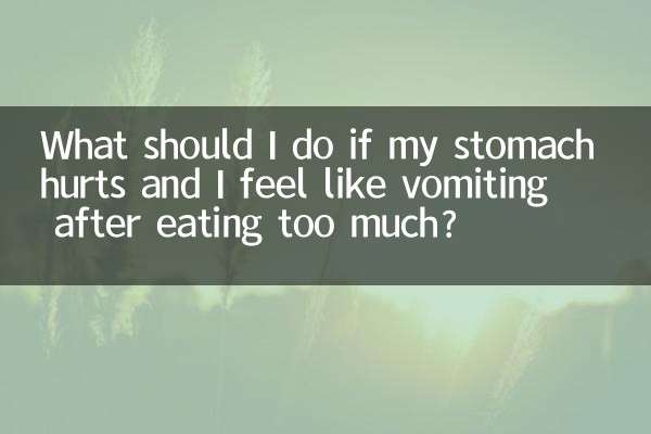 Cosa devo fare se mi fa male lo stomaco e ho voglia di vomitare dopo aver mangiato troppo?