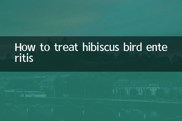 How to treat hibiscus bird enteritis
