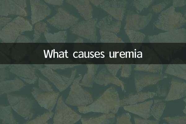 Quelles sont les causes de l'urémie