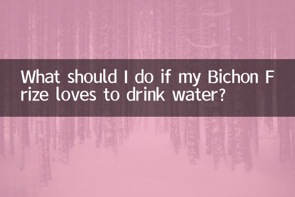 Was soll ich tun, wenn mein Bichon Frise gerne Wasser trinkt?